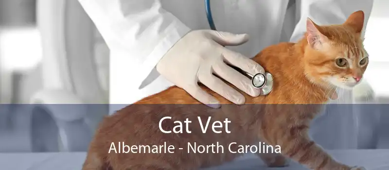 Cat Vet Albemarle - North Carolina