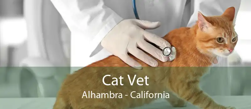 Cat Vet Alhambra - California