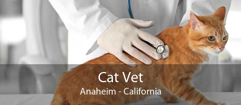 Cat Vet Anaheim - California