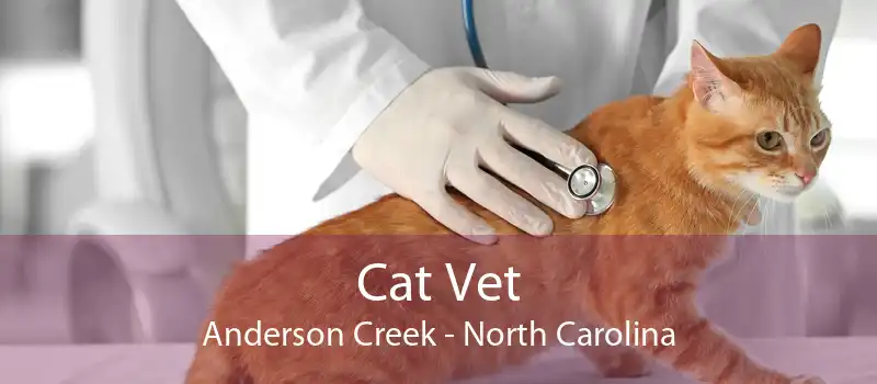 Cat Vet Anderson Creek - North Carolina