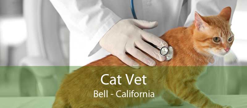 Cat Vet Bell - California