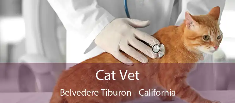 Cat Vet Belvedere Tiburon - California