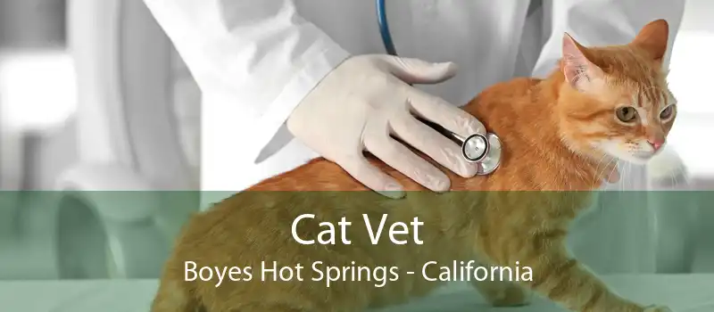 Cat Vet Boyes Hot Springs - California