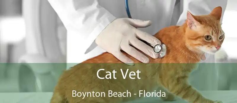 Cat Vet Boynton Beach - Florida