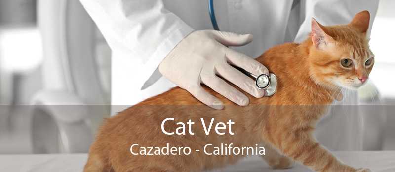 Cat Vet Cazadero - California