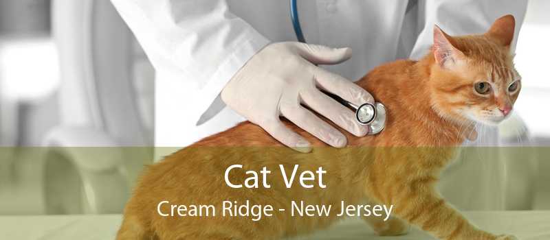 Cat Vet Cream Ridge - New Jersey