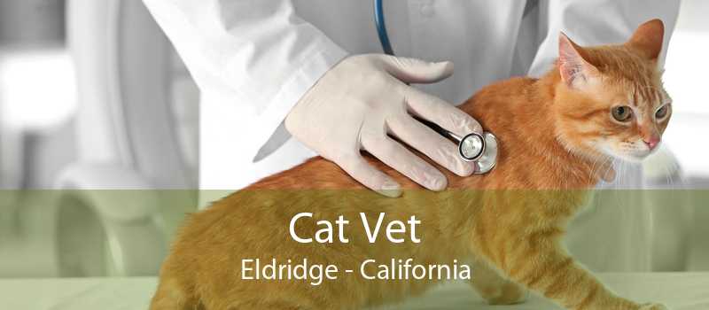 Cat Vet Eldridge - California