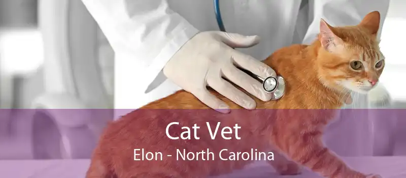 Cat Vet Elon - North Carolina