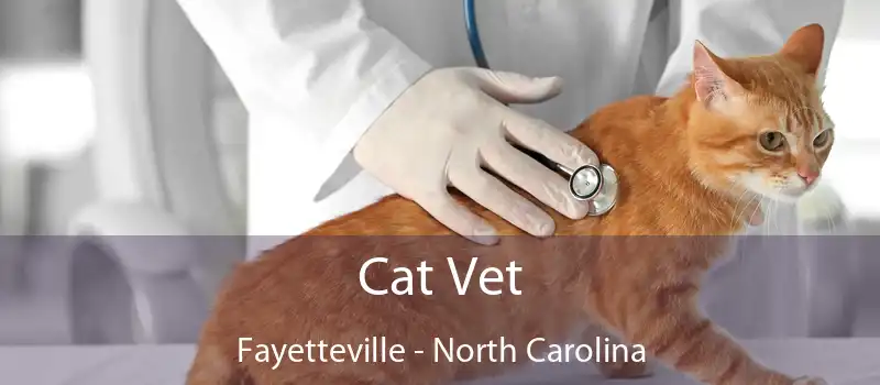 Cat Vet Fayetteville - North Carolina