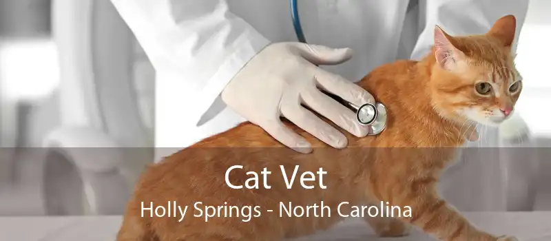 Cat Vet Holly Springs - North Carolina