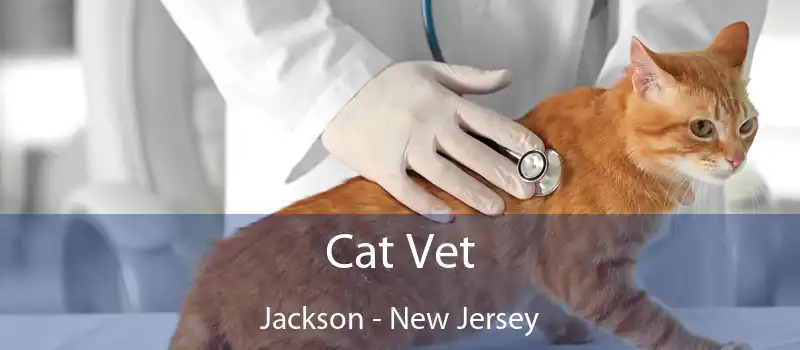 Cat Vet Jackson - New Jersey