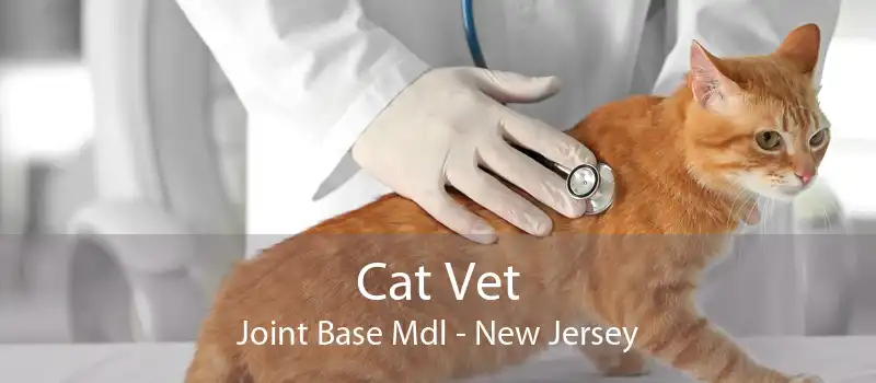 Cat Vet Joint Base Mdl - New Jersey