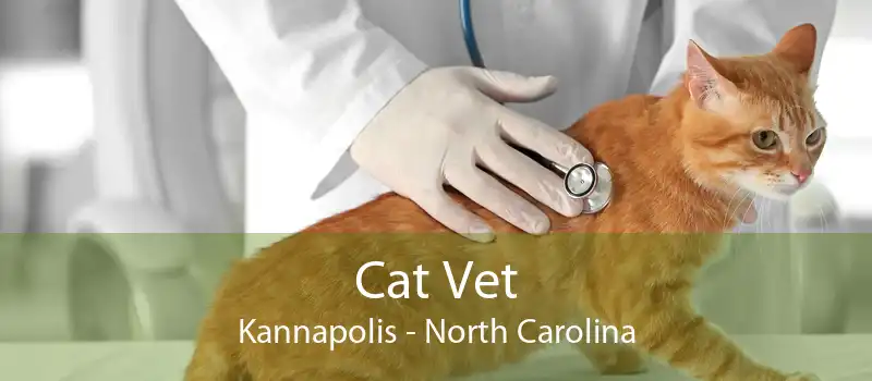 Cat Vet Kannapolis - North Carolina