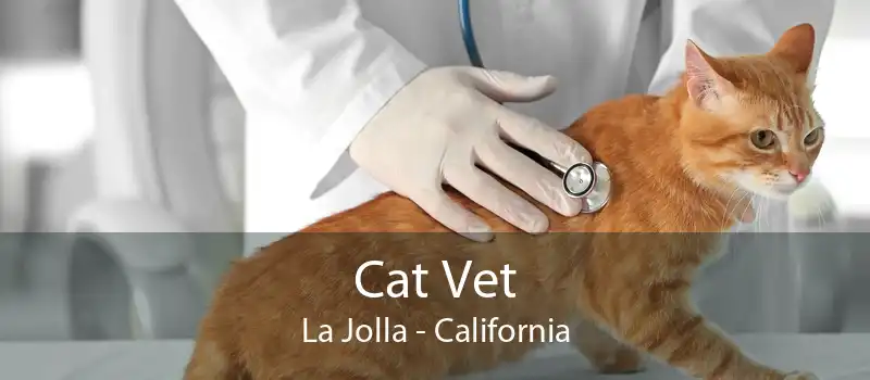 Cat Vet La Jolla - California