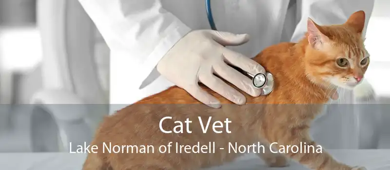 Cat Vet Lake Norman of Iredell - North Carolina