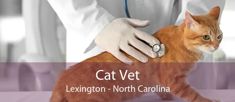 Cat Vet Lexington - North Carolina