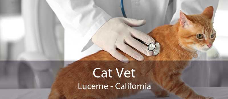 Cat Vet Lucerne - California