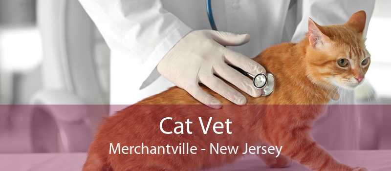 Cat Vet Merchantville - New Jersey