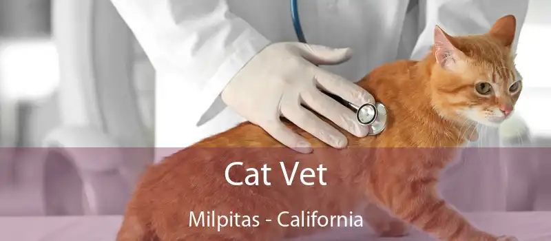 Cat Vet Milpitas - California