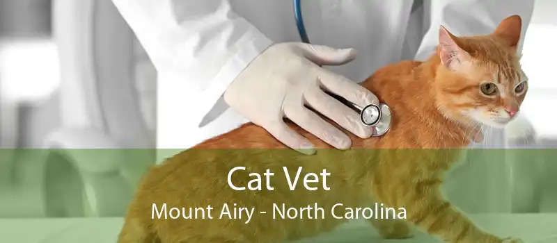 Cat Vet Mount Airy - North Carolina