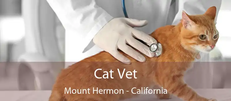 Cat Vet Mount Hermon - California