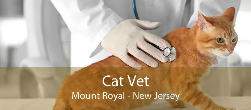 Cat Vet Mount Royal - New Jersey