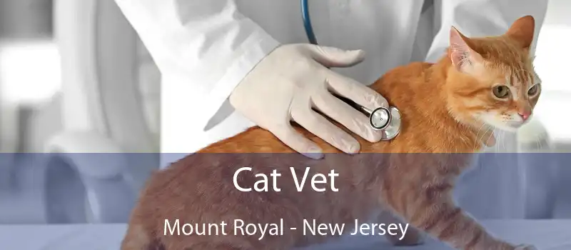 Cat Vet Mount Royal - New Jersey