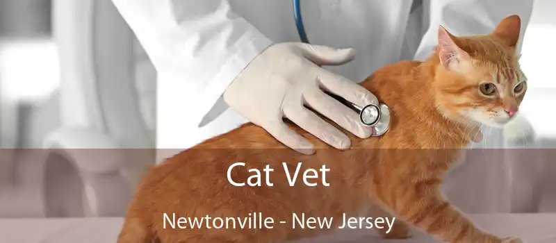 Cat Vet Newtonville - New Jersey