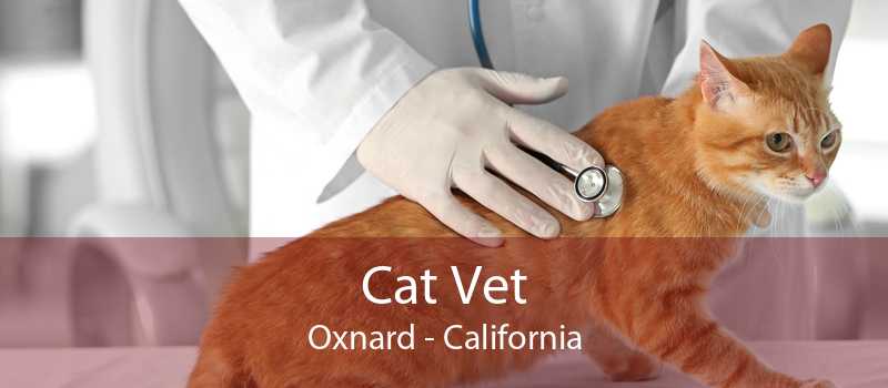 Cat Vet Oxnard - California