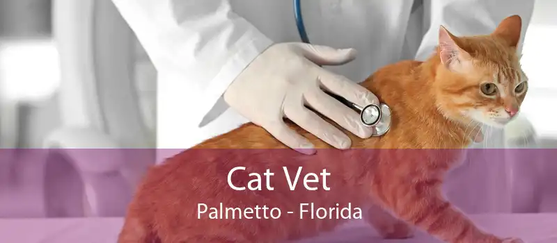 Cat Vet Palmetto - Florida