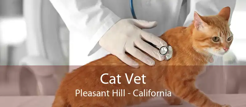Cat Vet Pleasant Hill - California