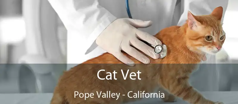 Cat Vet Pope Valley - California