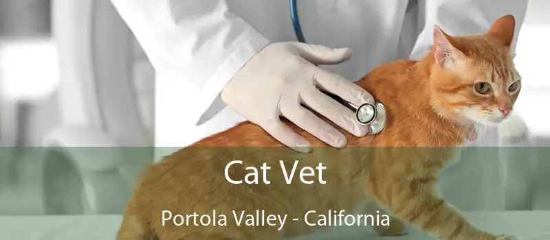 Cat Vet Portola Valley - California