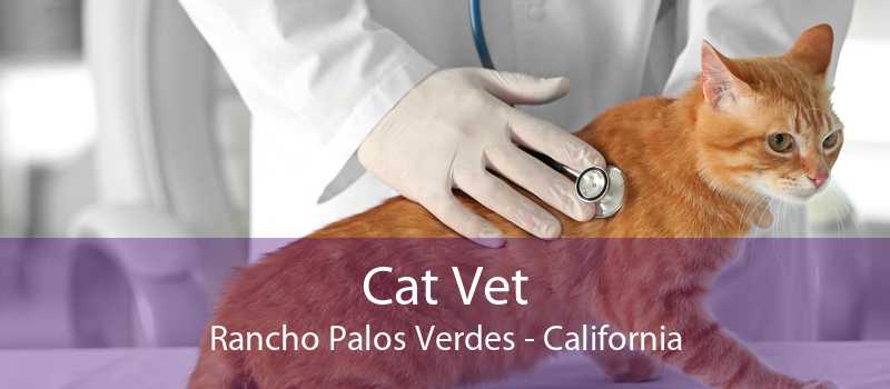 Cat Vet Rancho Palos Verdes - California