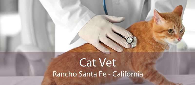Cat Vet Rancho Santa Fe - California