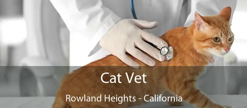 Cat Vet Rowland Heights - California