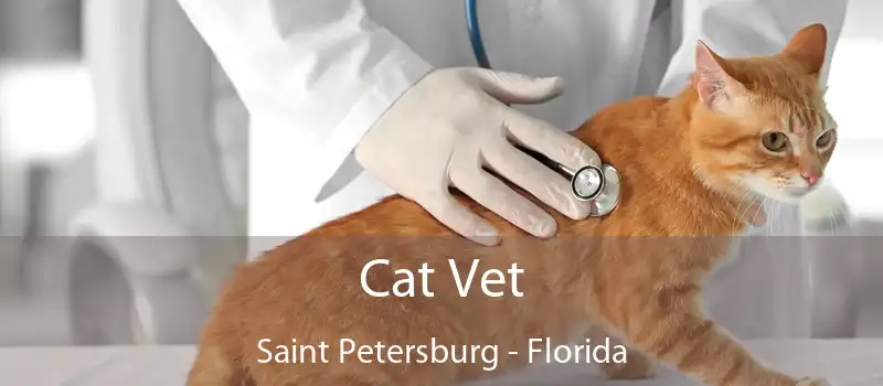 Cat Vet Saint Petersburg - Florida