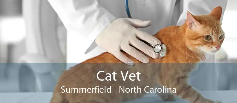 Cat Vet Summerfield - North Carolina