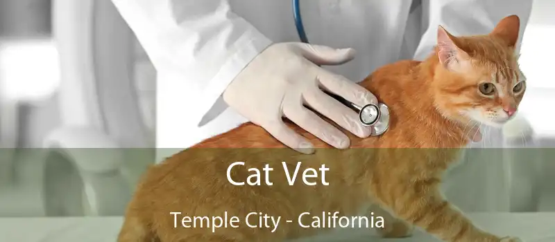 Cat Vet Temple City - California