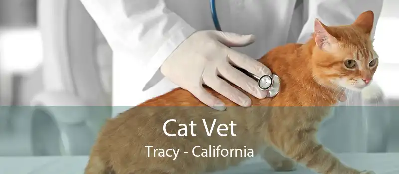 Cat Vet Tracy - California