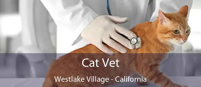 Cat Vet Westlake Village - California