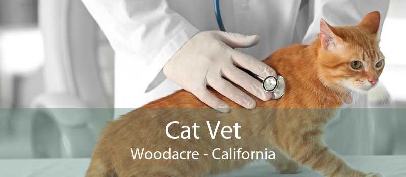 Cat Vet Woodacre - California