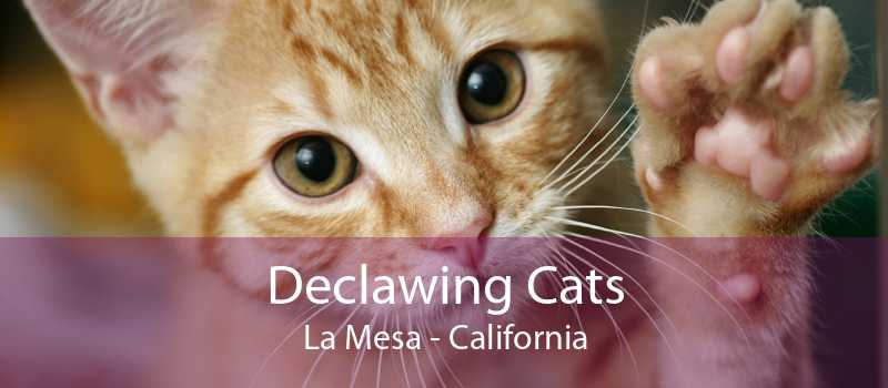 Declawing Cats La Mesa Cat Laser Declawing La Mesa