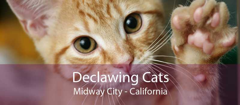 Declawing Cats Midway City Cat Laser Declawing Midway City