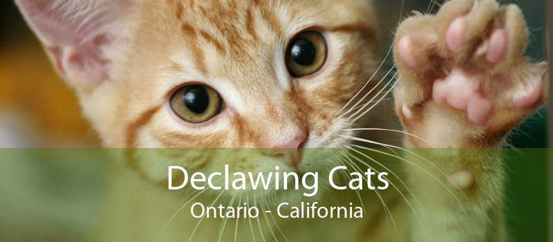 declawing cats ontario california