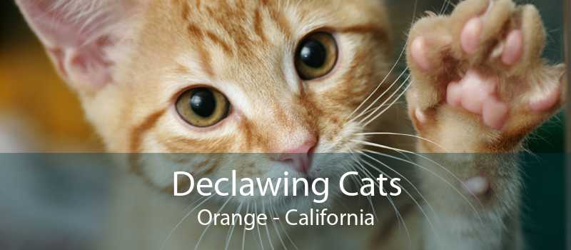 declawing cats orange california