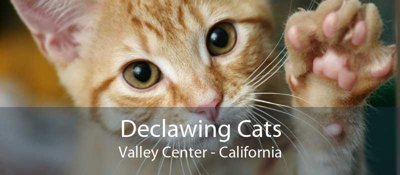Declawing Cats Valley Center Cat Laser Declawing Valley Center