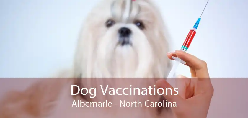 Dog Vaccinations Albemarle - North Carolina