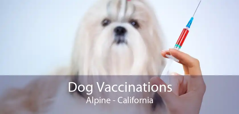 Dog Vaccinations Alpine - California