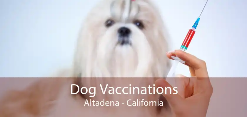 Dog Vaccinations Altadena - California